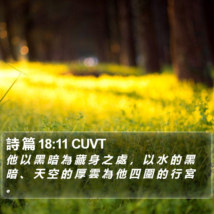 詩 篇 18:11 CUVT Bible Study