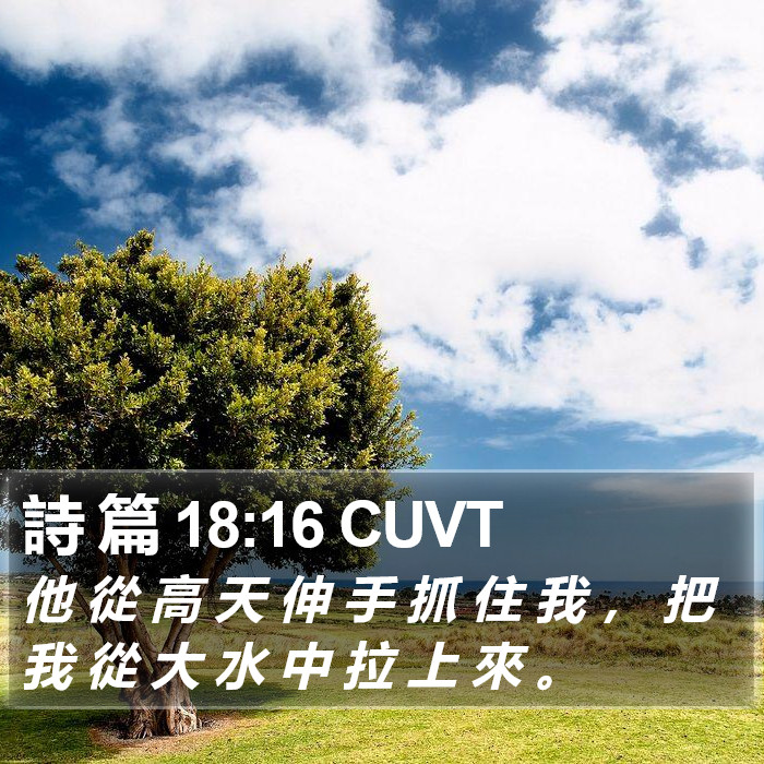 詩 篇 18:16 CUVT Bible Study