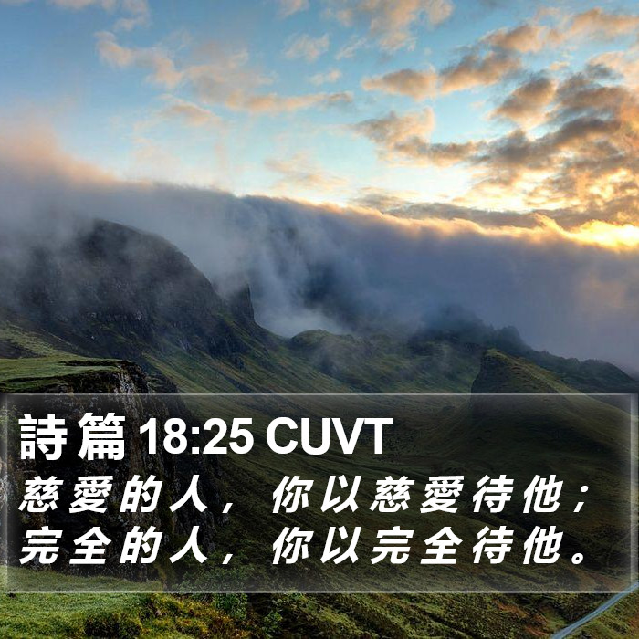 詩 篇 18:25 CUVT Bible Study