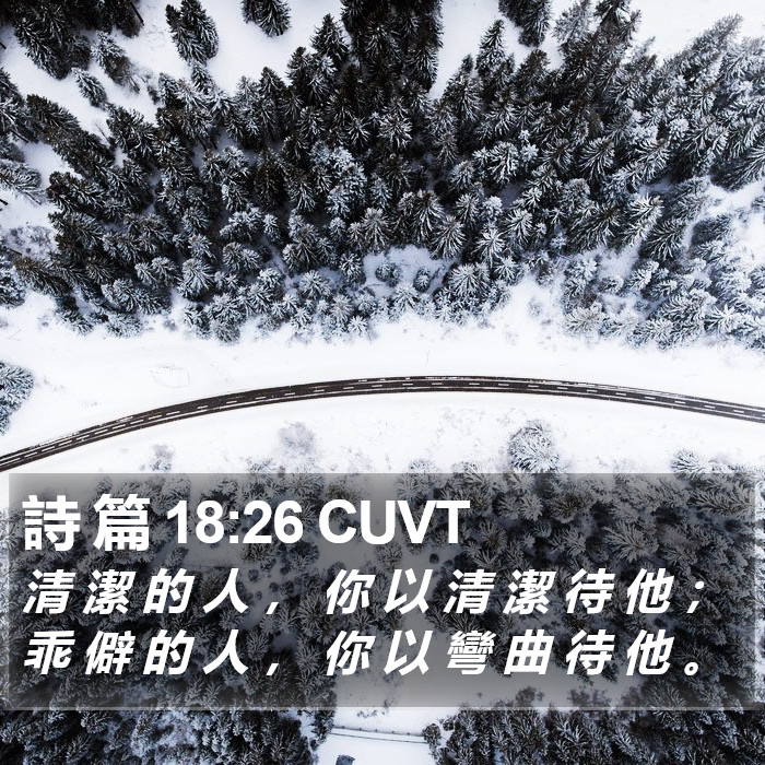 詩 篇 18:26 CUVT Bible Study