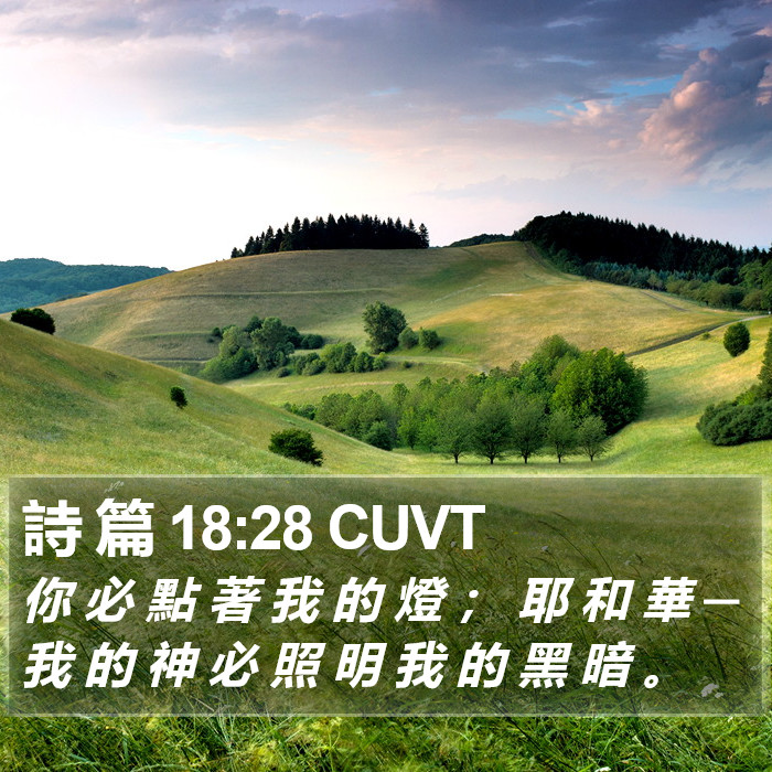 詩 篇 18:28 CUVT Bible Study