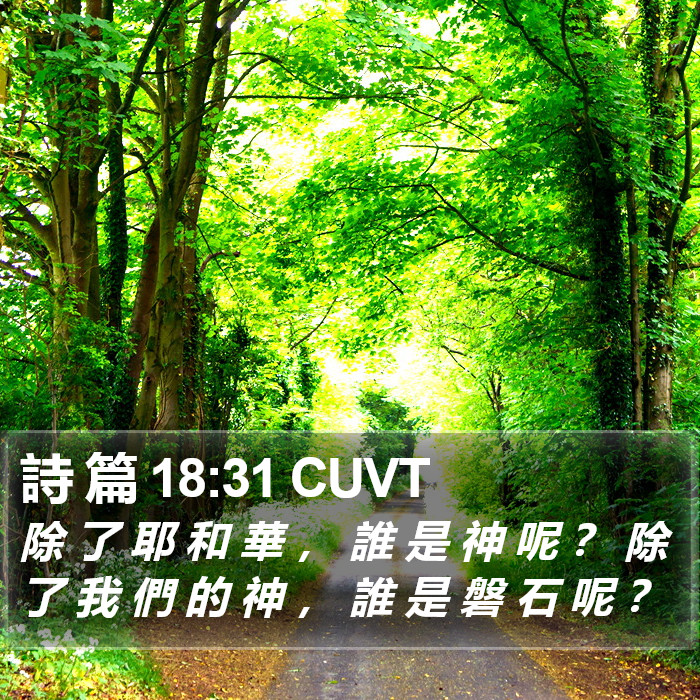 詩 篇 18:31 CUVT Bible Study