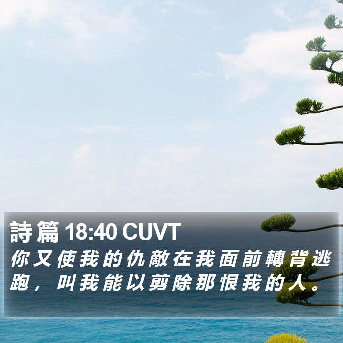 詩 篇 18:40 CUVT Bible Study