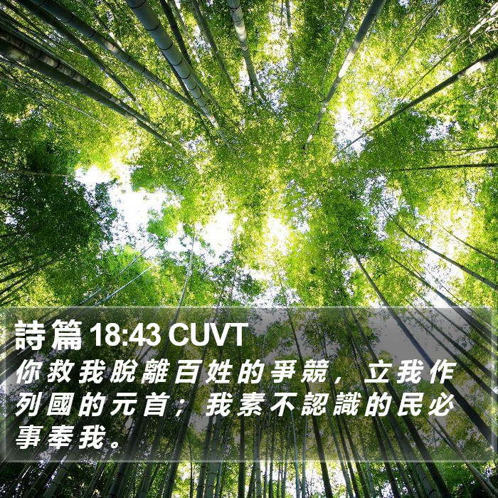 詩 篇 18:43 CUVT Bible Study