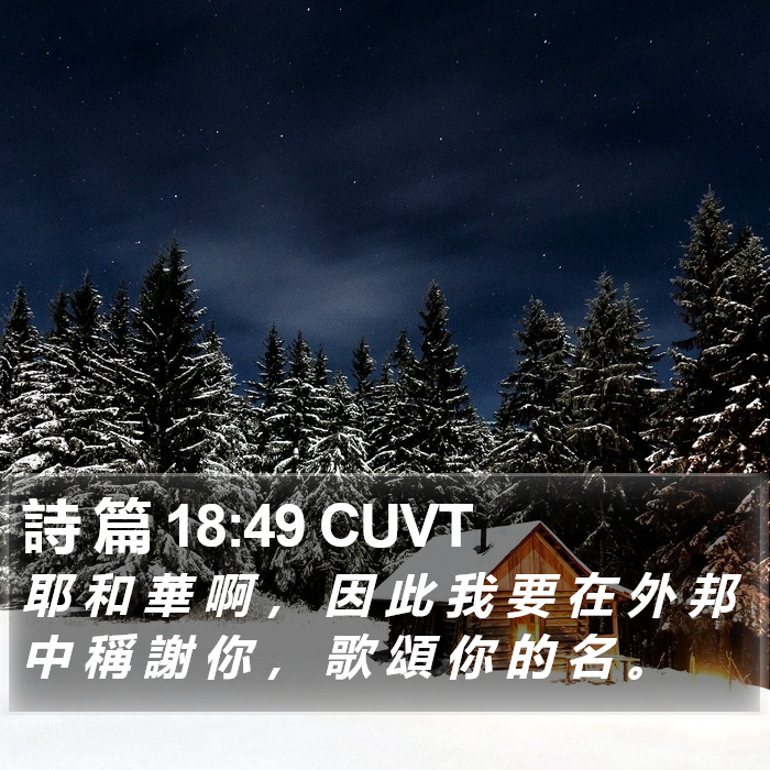 詩 篇 18:49 CUVT Bible Study