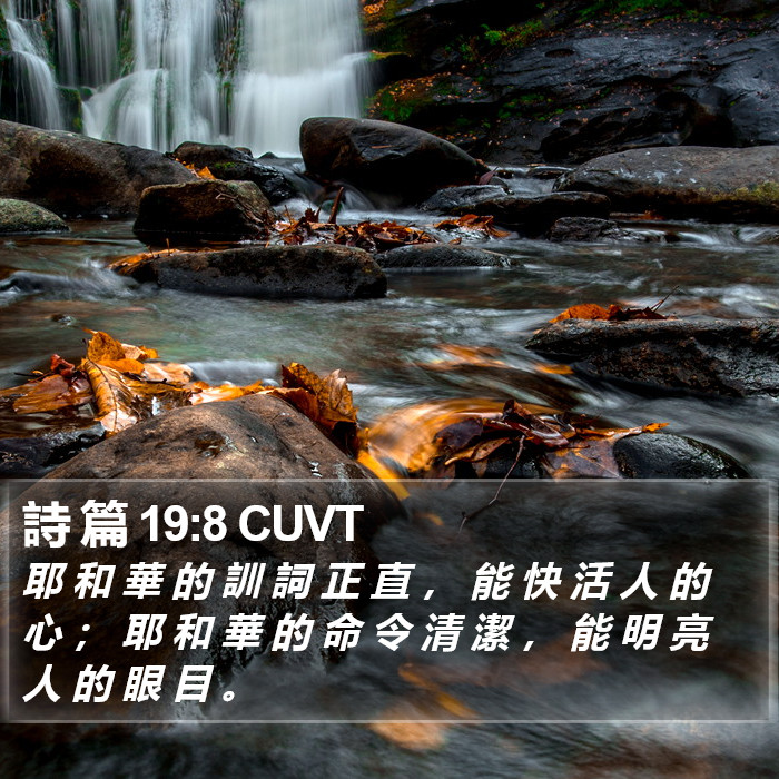 詩 篇 19:8 CUVT Bible Study