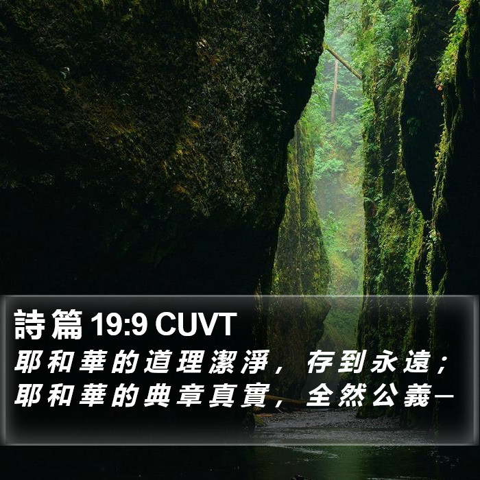 詩 篇 19:9 CUVT Bible Study