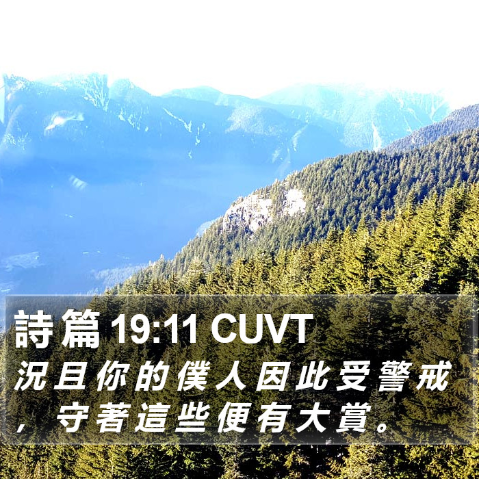 詩 篇 19:11 CUVT Bible Study