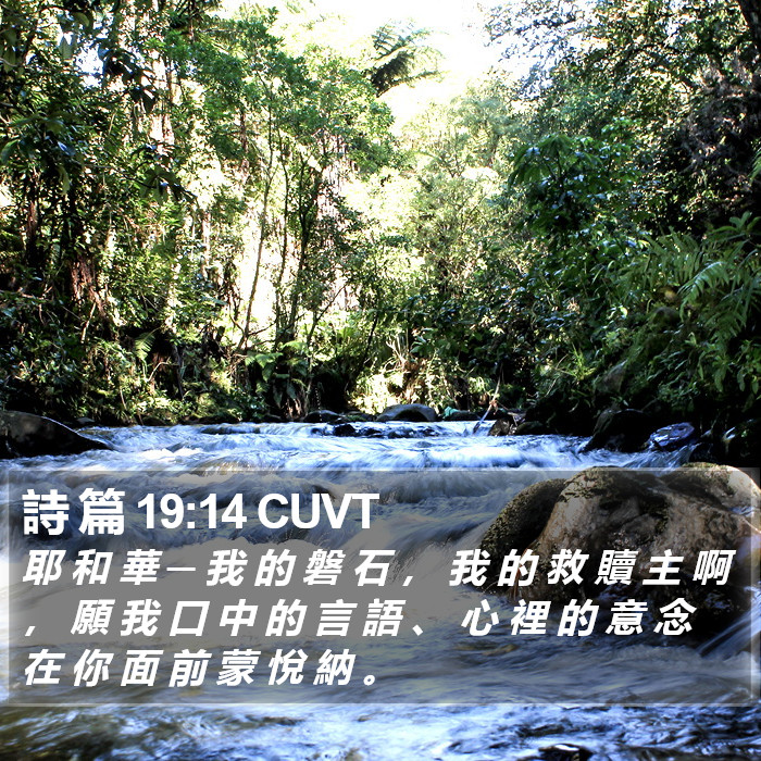 詩 篇 19:14 CUVT Bible Study