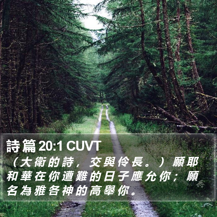 詩 篇 20:1 CUVT Bible Study