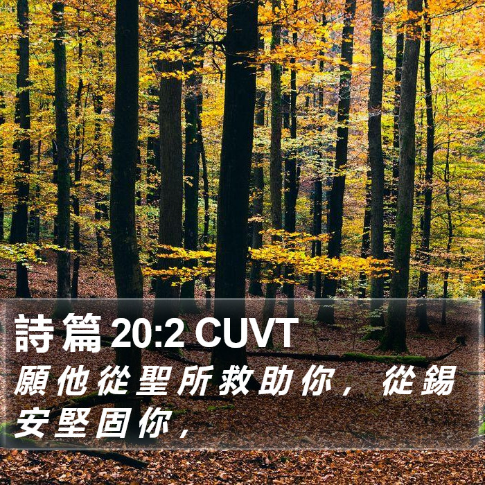 詩 篇 20:2 CUVT Bible Study