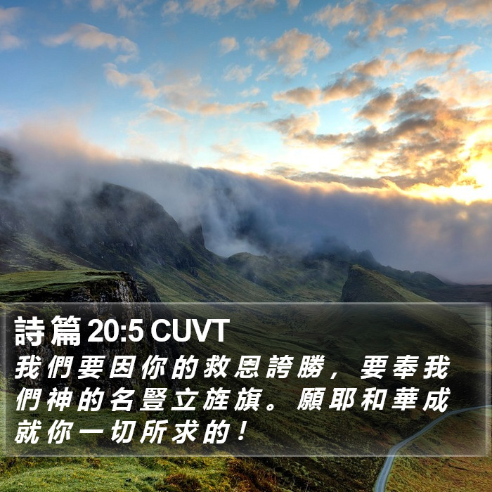 詩 篇 20:5 CUVT Bible Study