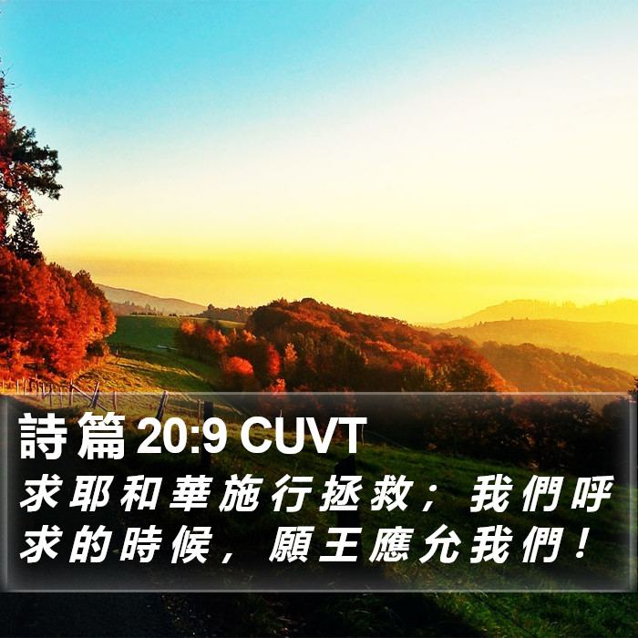 詩 篇 20:9 CUVT Bible Study