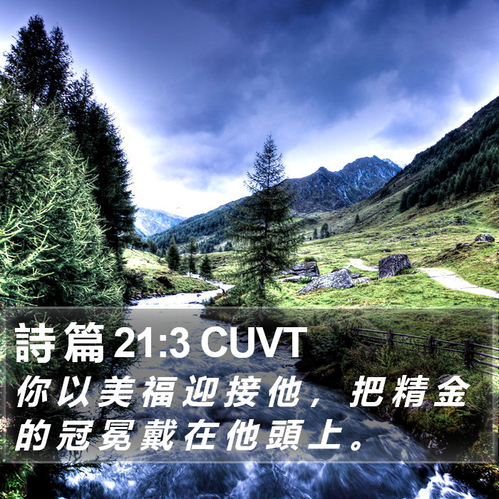 詩 篇 21:3 CUVT Bible Study