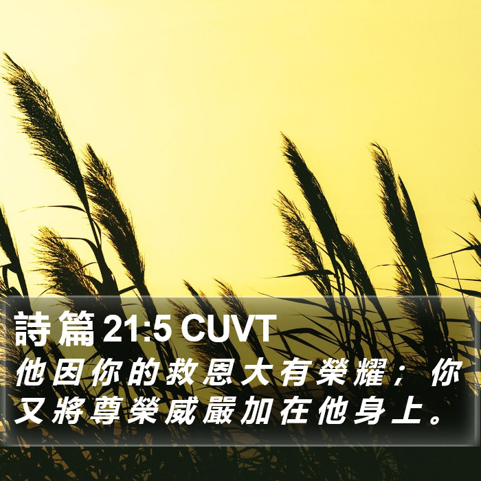 詩 篇 21:5 CUVT Bible Study