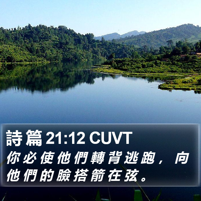詩 篇 21:12 CUVT Bible Study