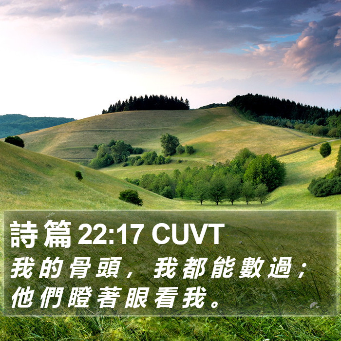 詩 篇 22:17 CUVT Bible Study