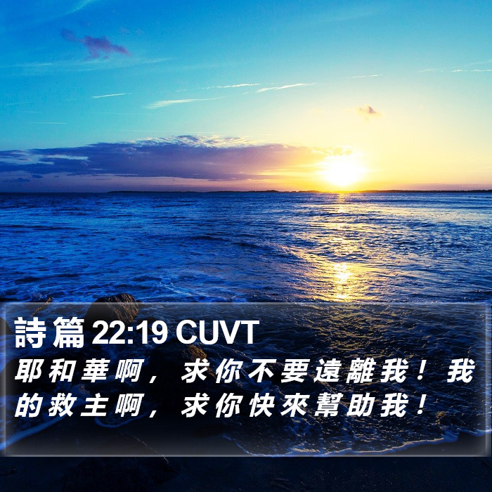 詩 篇 22:19 CUVT Bible Study