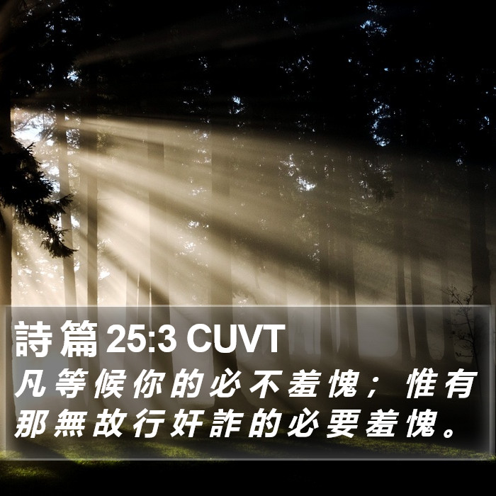 詩 篇 25:3 CUVT Bible Study