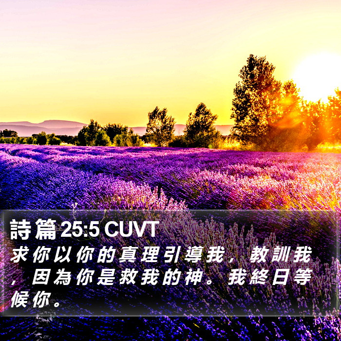 詩 篇 25:5 CUVT Bible Study