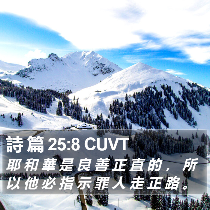 詩 篇 25:8 CUVT Bible Study