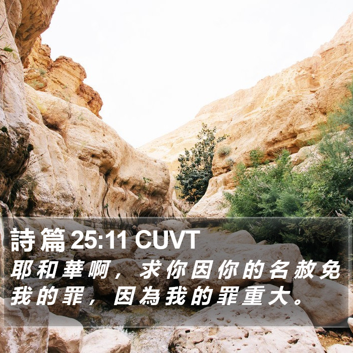 詩 篇 25:11 CUVT Bible Study