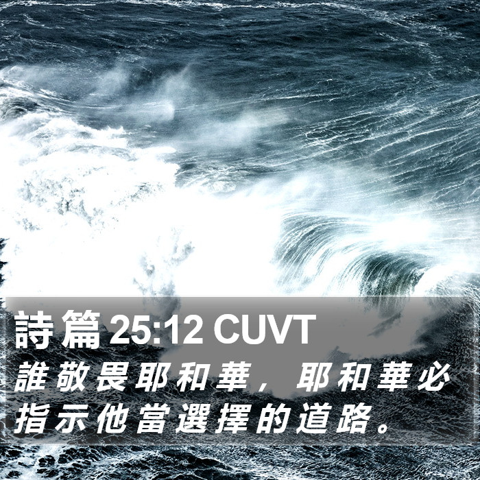 詩 篇 25:12 CUVT Bible Study