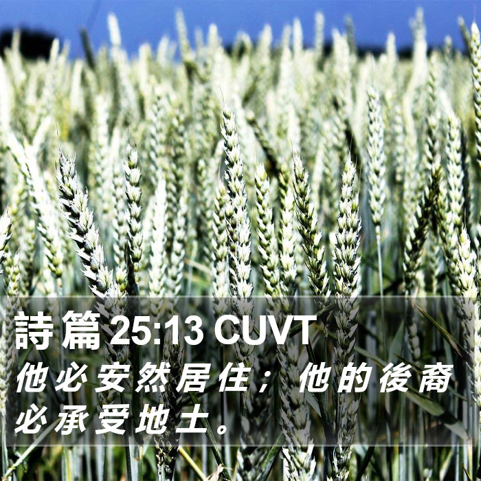 詩 篇 25:13 CUVT Bible Study