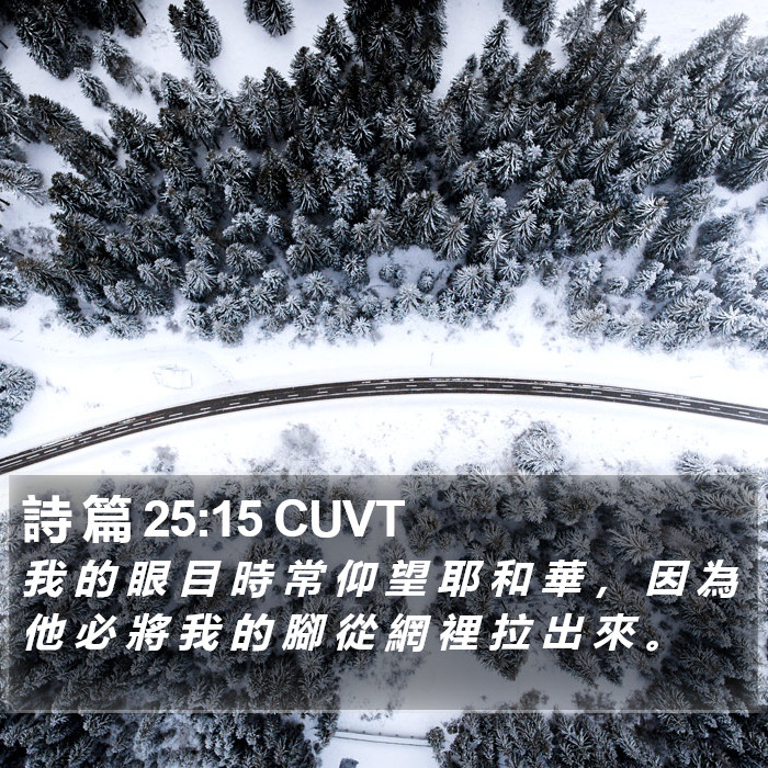 詩 篇 25:15 CUVT Bible Study