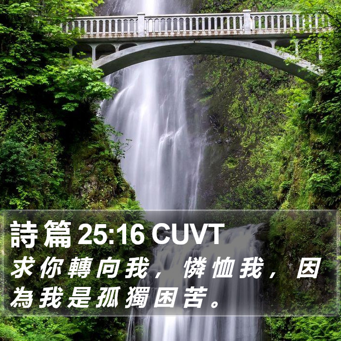 詩 篇 25:16 CUVT Bible Study