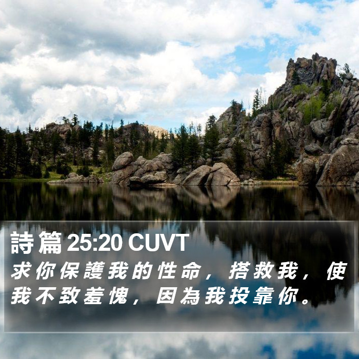 詩 篇 25:20 CUVT Bible Study