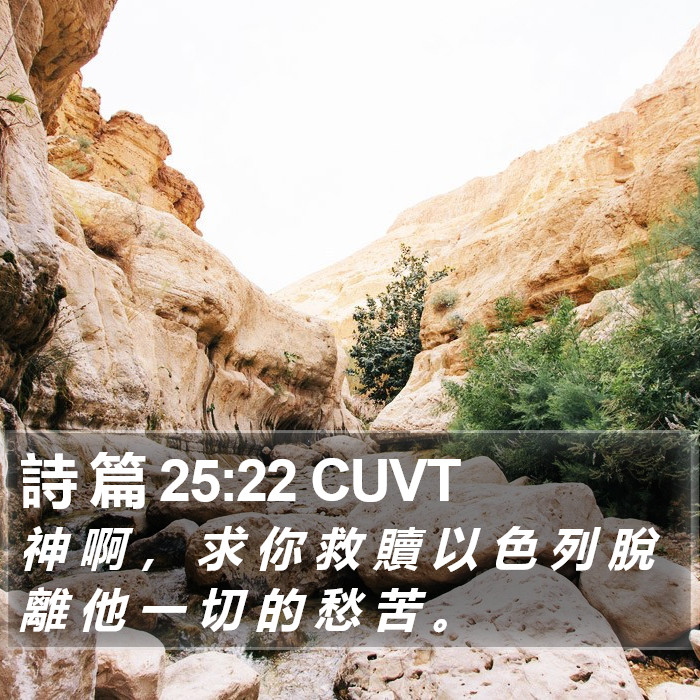 詩 篇 25:22 CUVT Bible Study