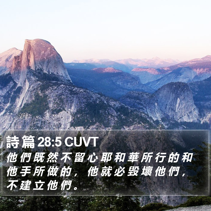 詩 篇 28:5 CUVT Bible Study