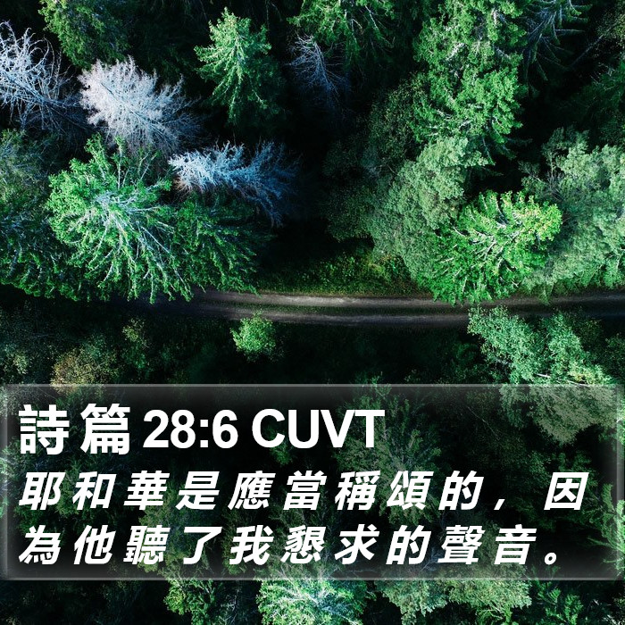 詩 篇 28:6 CUVT Bible Study