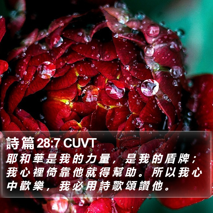 詩 篇 28:7 CUVT Bible Study