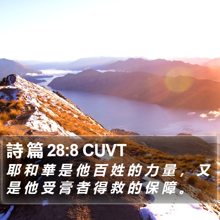 詩 篇 28:8 CUVT Bible Study