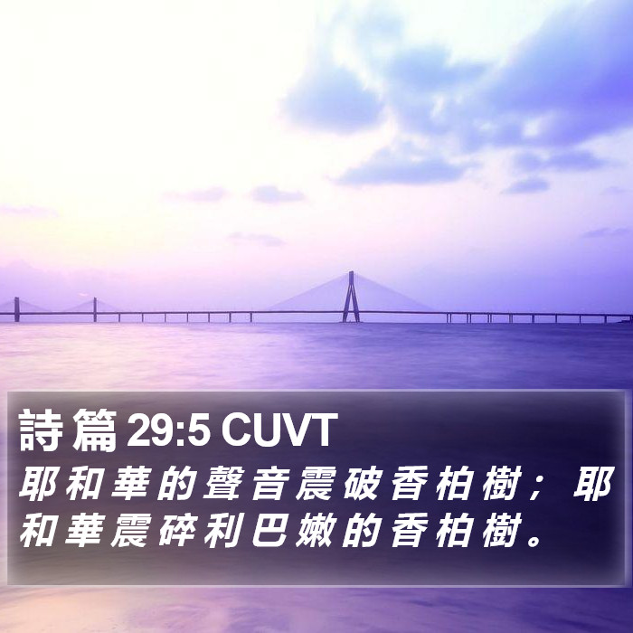 詩 篇 29:5 CUVT Bible Study