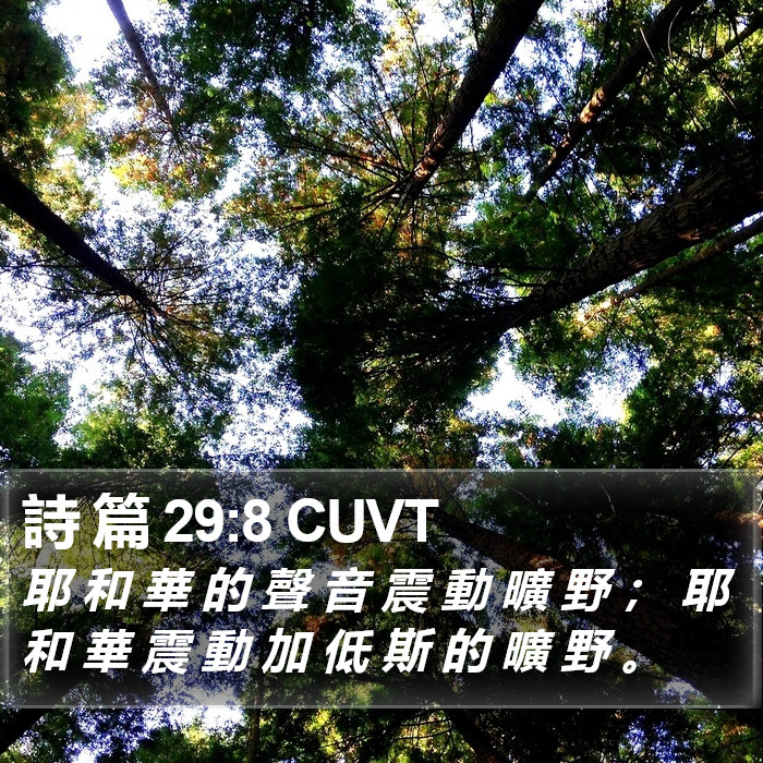 詩 篇 29:8 CUVT Bible Study