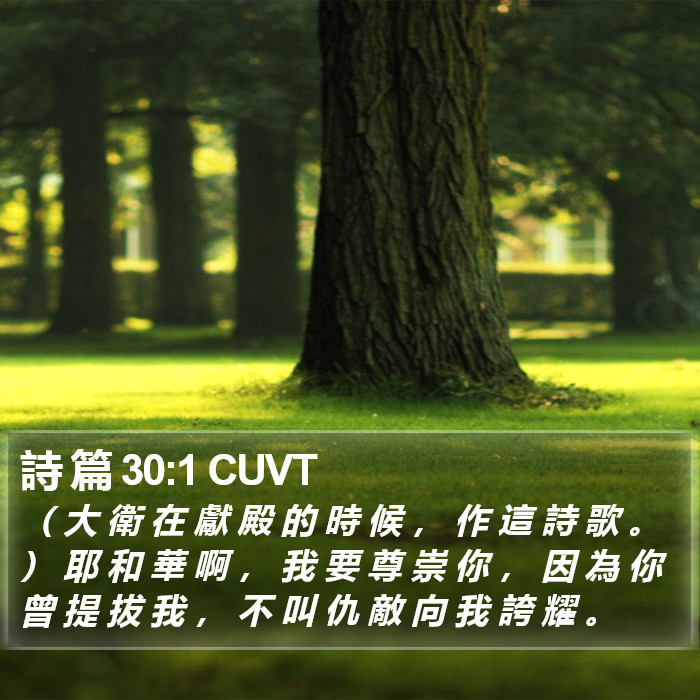 詩 篇 30:1 CUVT Bible Study