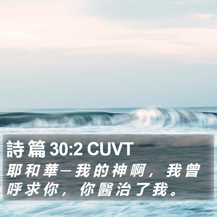 詩 篇 30:2 CUVT Bible Study