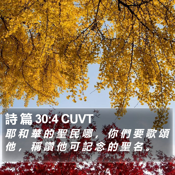 詩 篇 30:4 CUVT Bible Study