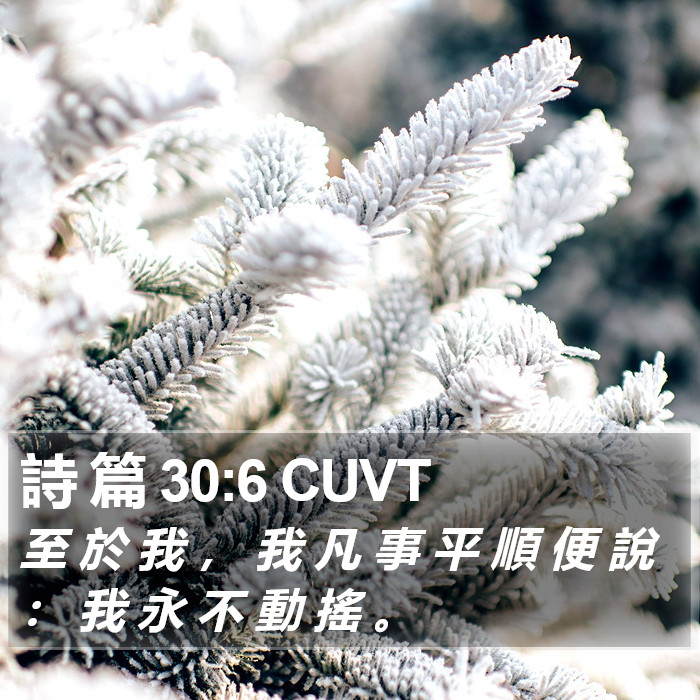 詩 篇 30:6 CUVT Bible Study