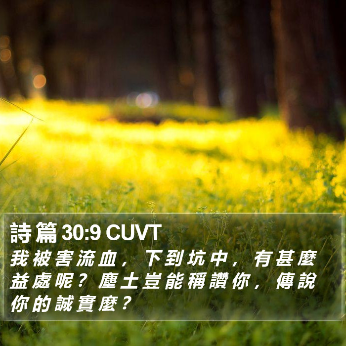 詩 篇 30:9 CUVT Bible Study