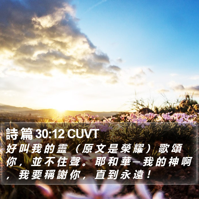 詩 篇 30:12 CUVT Bible Study