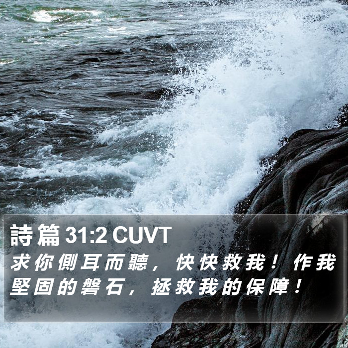詩 篇 31:2 CUVT Bible Study