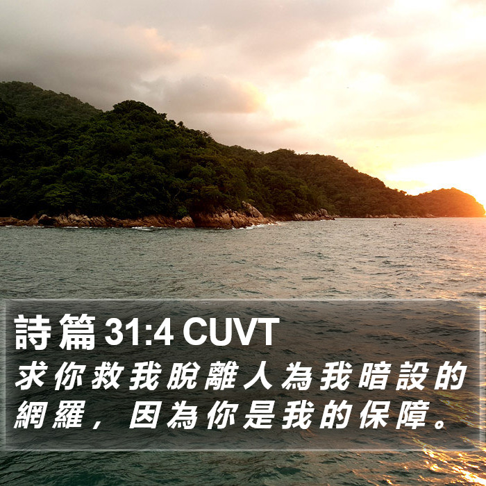 詩 篇 31:4 CUVT Bible Study