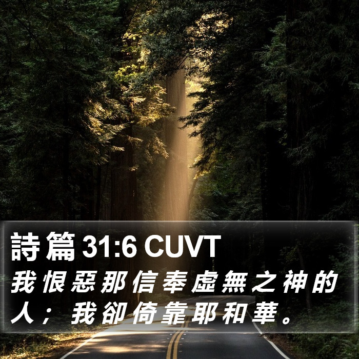 詩 篇 31:6 CUVT Bible Study