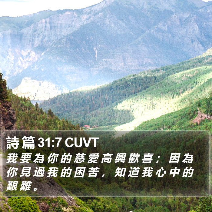 詩 篇 31:7 CUVT Bible Study