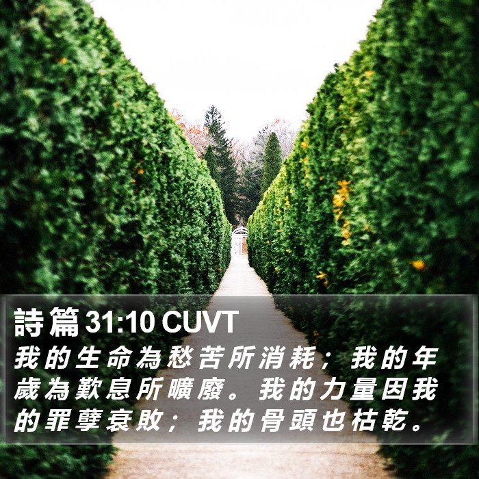 詩 篇 31:10 CUVT Bible Study
