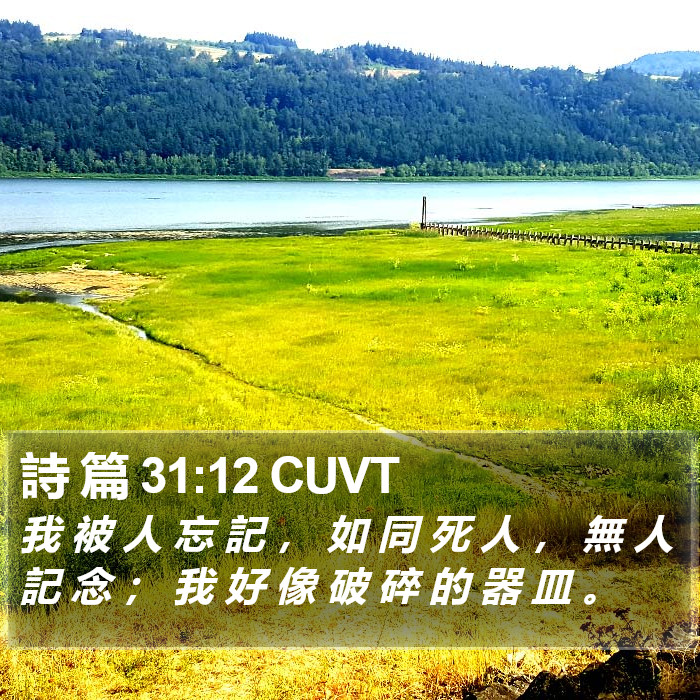 詩 篇 31:12 CUVT Bible Study